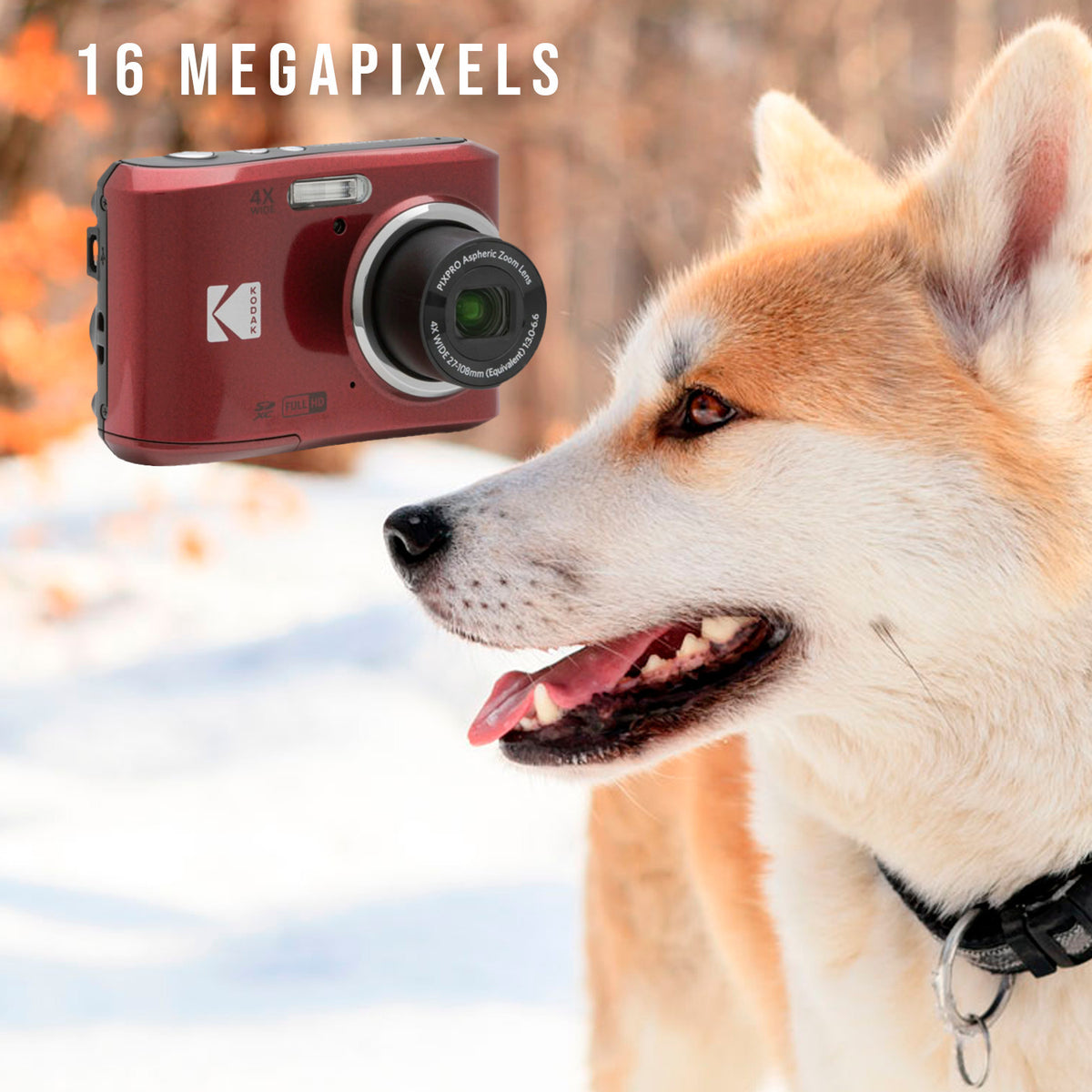 Kodak PIXPRO FZ45 Friendly Zoom Digital Camera (Red) with Travel Organizer and Storage Case Bundle