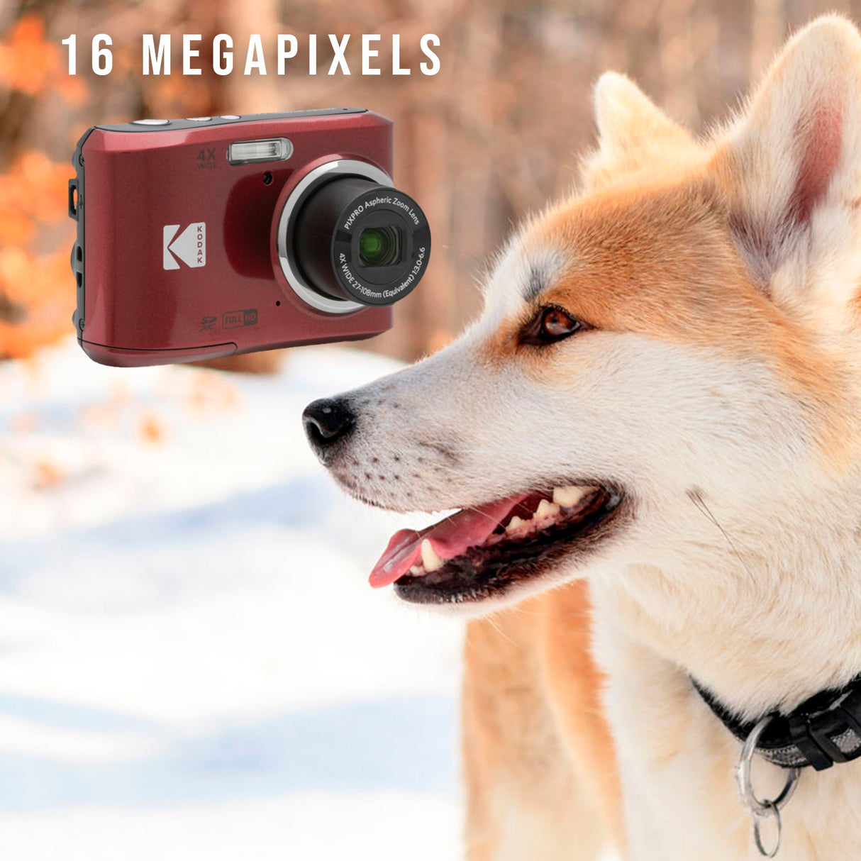 Kodak PIXPRO FZ45 Friendly Zoom Digital Camera (Red) with Travel Organizer and Storage Case Bundle