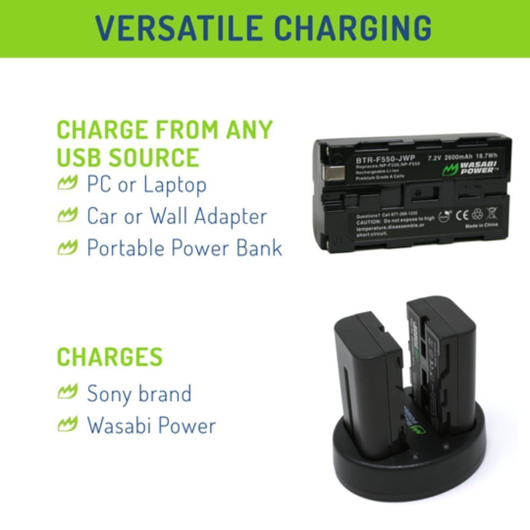 Wasabi Power 2600mAh Battery (2-Pack) and Dual USB Charger Kit for High-Capacity Charging (Black)