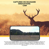 Wildgame Innovations Wraith 2.0 Trail Camera (10-Pack) with 10 x 32GB Ultra SDHC Memory Card Bundle