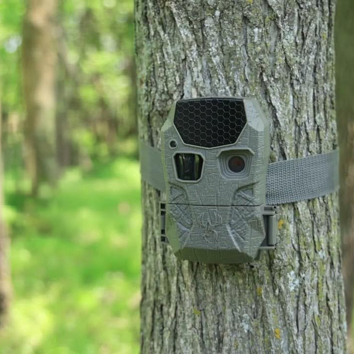 Wildgame Innovations Kicker 2.0 Lightsout Trail Camera with 18MP Resolution (4-Pack) Bundle