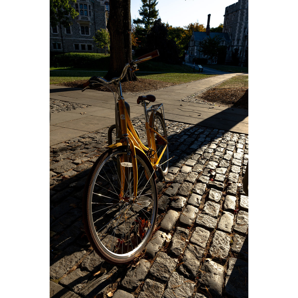 Sigma 16mm F1.4 DC DN Contemporary Lens Canon (RF-Mount)