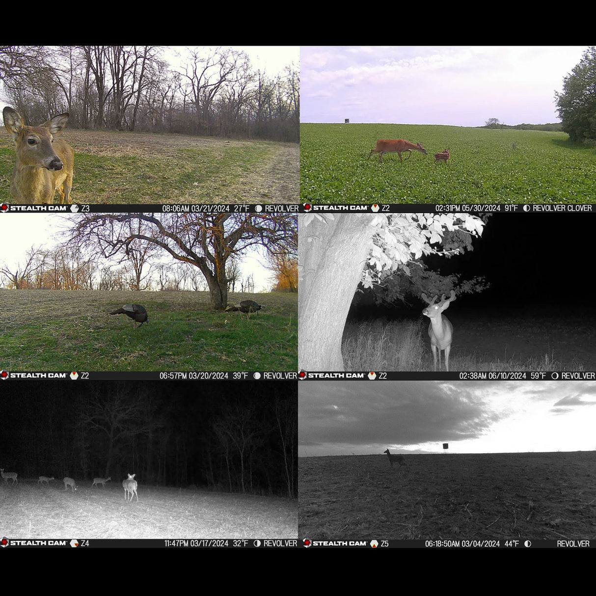 Stealth Cam Revolver 40MP Pro 360 Degree Cellular Trail Camera with Mounting Post Bundle