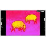 ATN ThOR LTV 4-12x 320x240 12 Micron Ultra-Light Thermal Rifle Scope with Video Recording (Black)