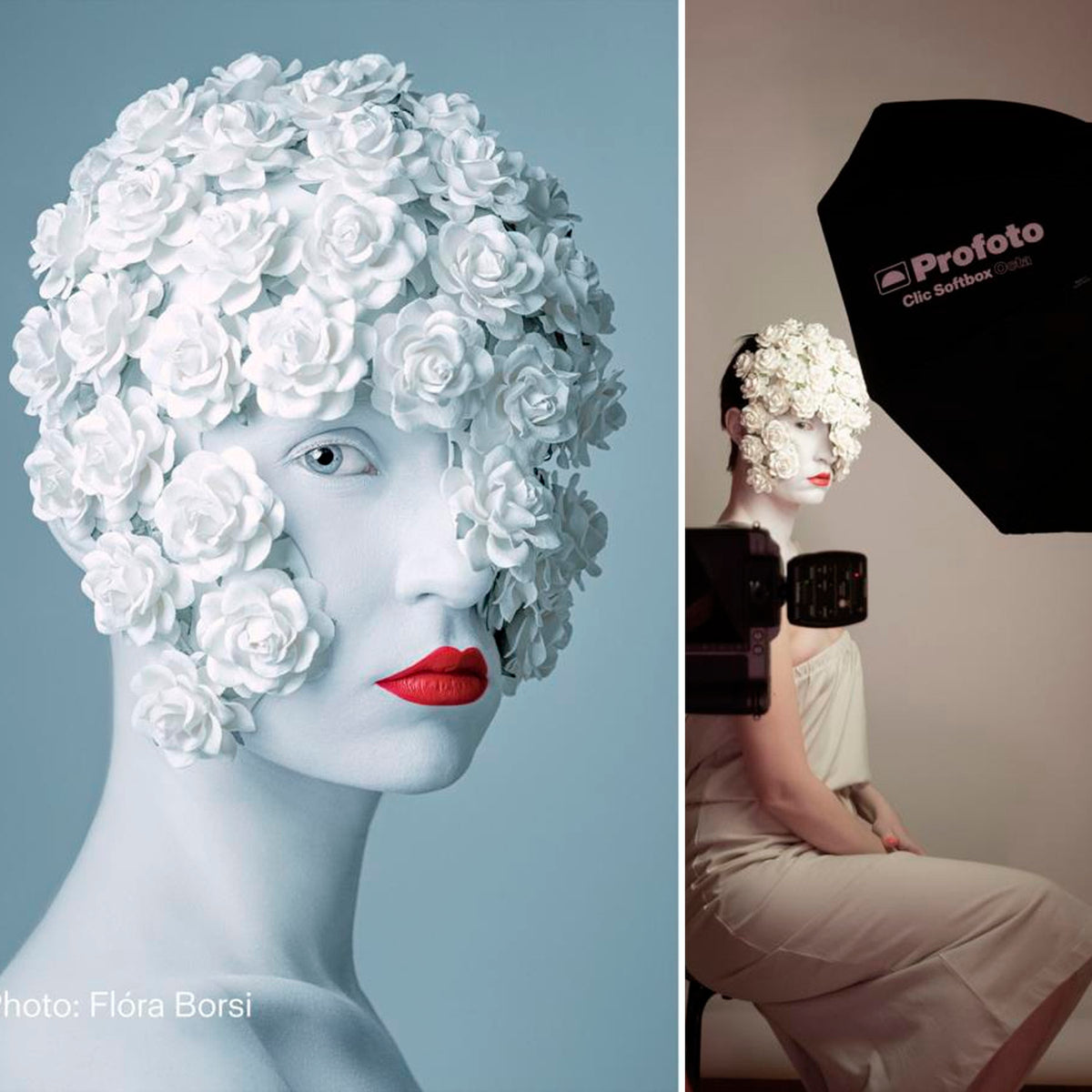 Profoto Softbox 4-Feet Octa with 1 F-Stop Diffuser (Silver) with Softgrid 4-Feet Octa Bundle
