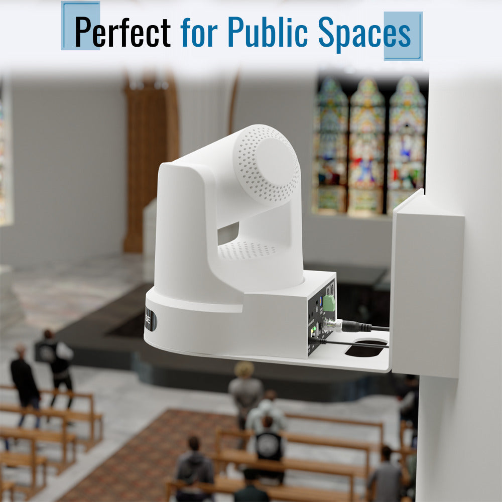 PTZOptics Move SE 30X PTZ Camera (Gray, 2-Pack) with SuperJoy Camera Joystick Controller Bundle