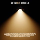 Aputure LS 600C Pro II RGB LED 46 Preset Effects Monolight (A-Mount) with Aputure Lantern 90 Bundle