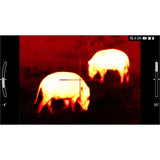 ATN ThOR LTV 4-12x 640x480 12 Micron Ultra-Light Thermal Rifle Scope with Video Recording (Black)