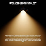 Aputure Amaran COB 60x S Bi-Color LED Monolight with Aputure LS60 Softbox Bundle