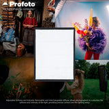 Profoto Softbox 3x4-Feet Rectangular with Removable Diffuser and Profoto Softgrid Bundle