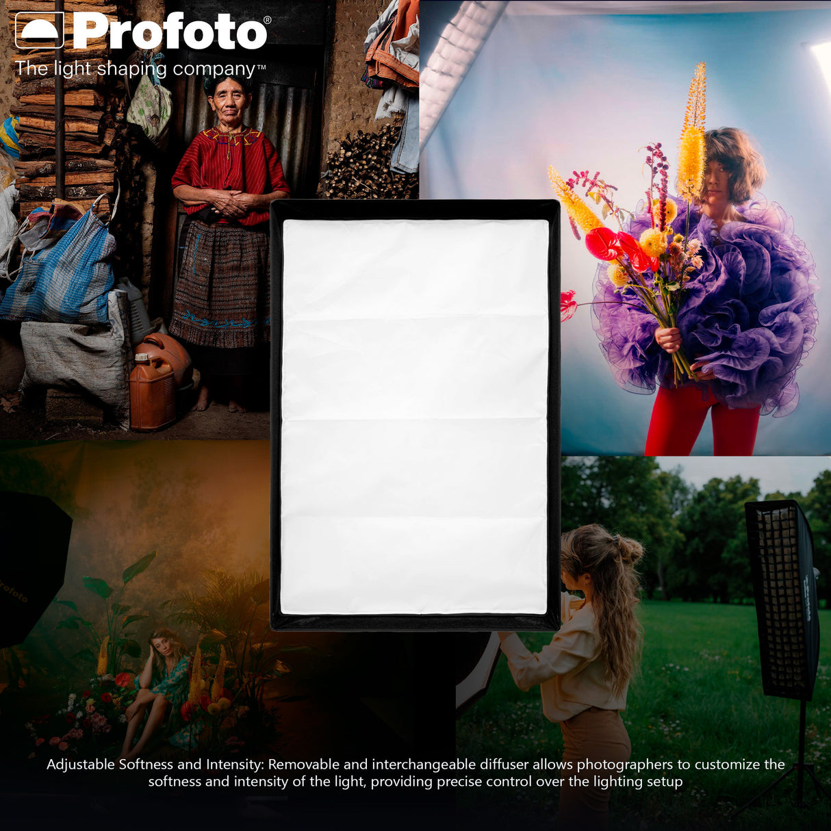 Profoto 2x3-Feet Softbox Rectangular Soft Light with Precision (Silver) and Profoto Softgrid Bundle