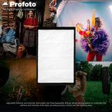 Profoto 2x3-Feet Softbox Rectangular Soft Light with Precision (Silver) and Profoto Softgrid Bundle