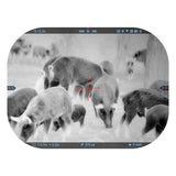 ATN ThOR 5 LRF 640x480 5-40x 12 Micron Weather-Resistant Smart HD Thermal Rifle Scope (Black)