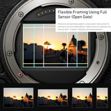 Panasonic Lumix S9N Full-Frame Mirrorless Camera with Lumix S9 1840 Lens Kit (Black) Bundle