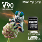 ProGrade Digital SDXC UHS-II V90 300R 256GB Capacity, 300MB/s Read and 250MB/s Write Memory Card