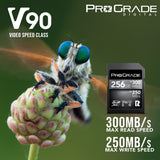 ProGrade Digital 256GB SDXC UHS-II V90 300R Memory Card with 300MBPS Read Speed Bundle