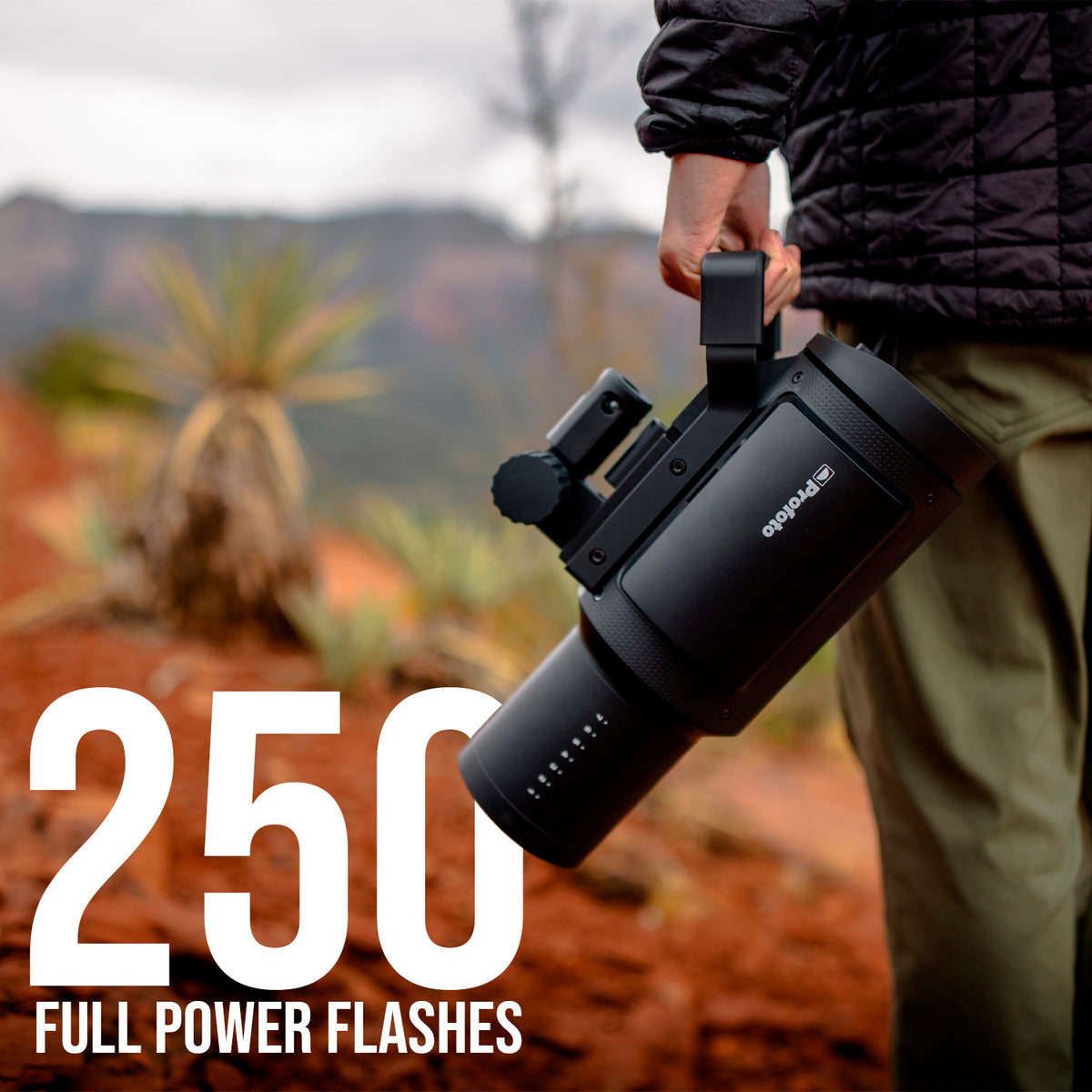 Profoto Li-Ion Battery 4S2P with Profoto Battery Charger 5A Bundle