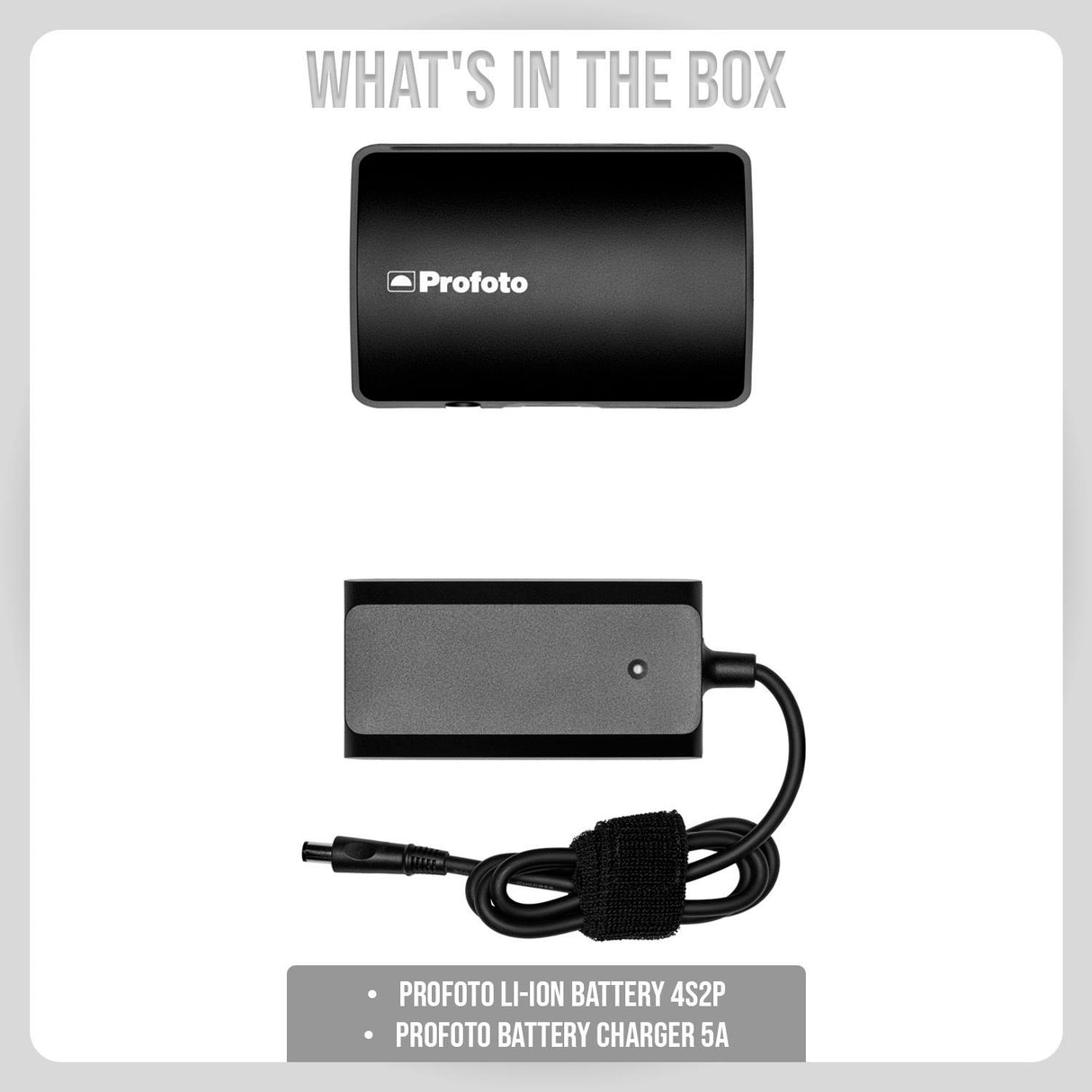Profoto Li-Ion Battery 4S2P with Profoto Battery Charger 5A Bundle