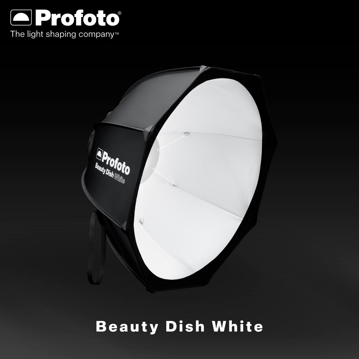 Profoto Beauty Dish for Portraits and Fashion with Speedring and Circular Front Edge (White) Bundle