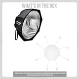 Profoto Beauty Dish for Portraits and Fashion with Speedring and Circular Front Edge (Gray) Bundle