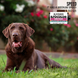 Ilford Ilfocolor Vintage Tone 400 Plus 24 Exposures Color Film Roll (3-Pack) Bundle