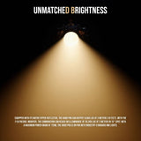 Aputure LS600D PRO Daylight LED Light (V-Mount), Light Dome 150, F10 Fresnel, and Softboxes Bundle