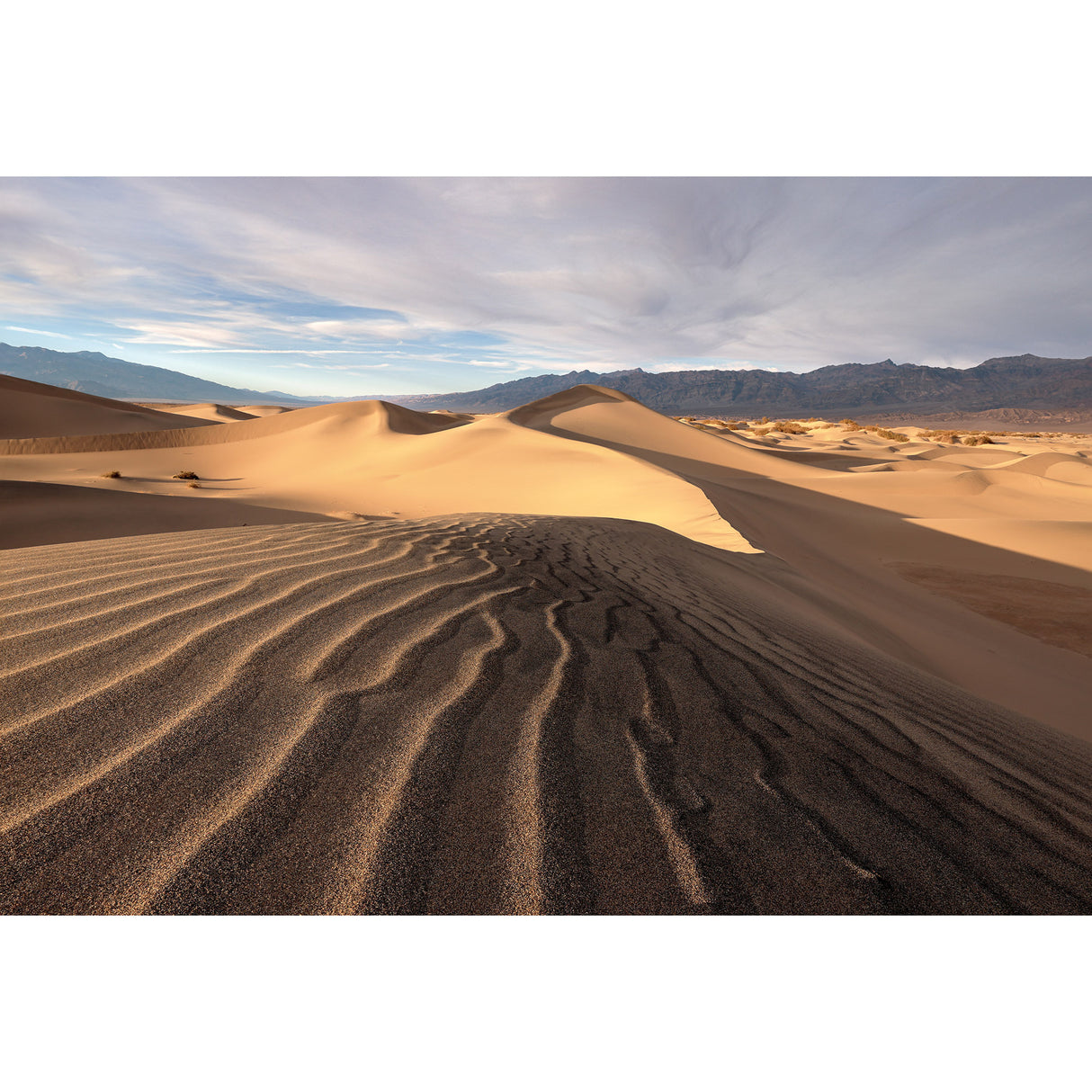 Canon RF 16-28mm f/2.8 IS STM Lens (Canon RF Mount)