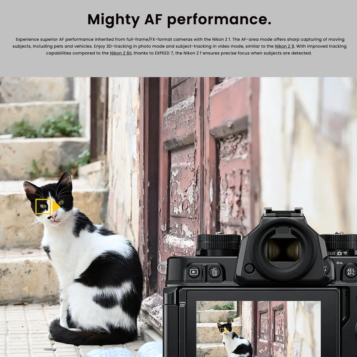 Nikon Z F EXPEED 7 Image Processor Mirrorless Camera with Nikon FTZ II Mount Adapter Bundle