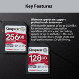 Kingston Canvas React Plus 64GB U3 V90 SD Card (2-Pack) and Focus All-In-One Card Reader Bundle