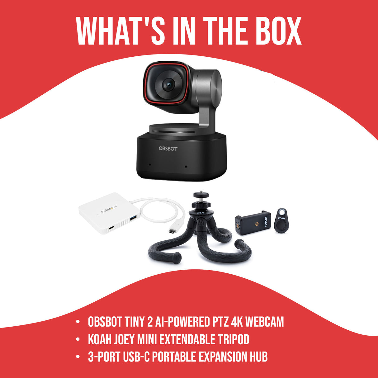 OBSBOT Tiny 2 AI-Powered PTZ 4K Webcam with Dual Native ISO Technology and Dynamic Gesture Bundle