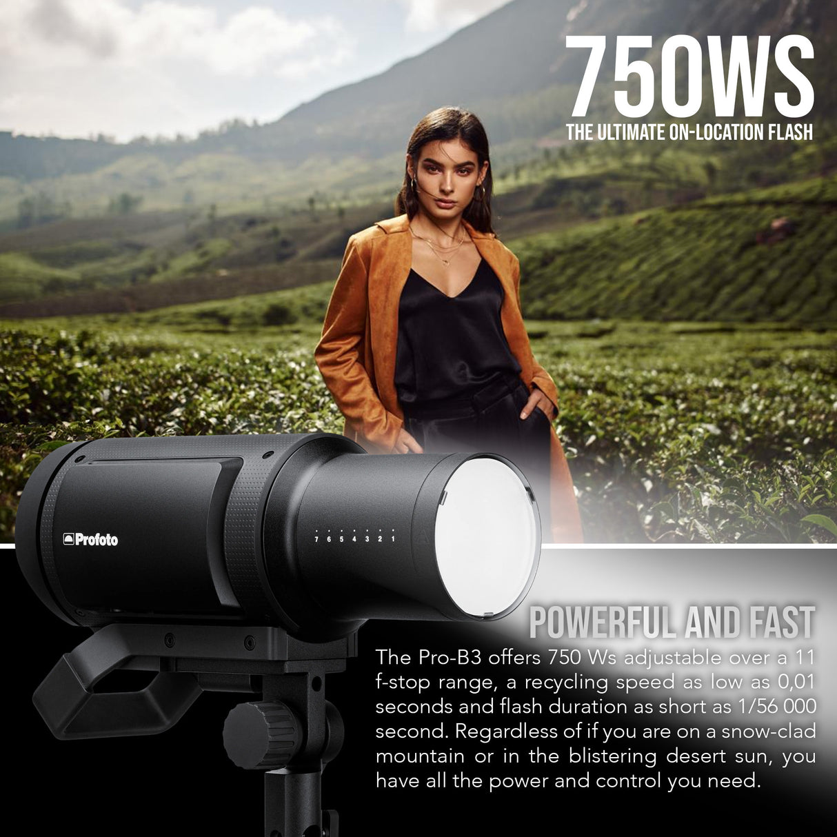 Profoto Pro-B3 Single Kit with Profoto OCF Zoom Reflector and Profoto OCF Speedring Bundle