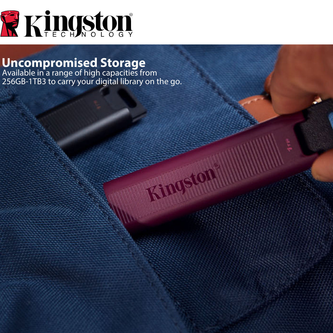 Kingston DataTraveler Max Type-A 256GB USB Flash Drive (2-Pack) with Keychain Rings Bundle