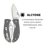Spyderco Alcyone Gray Folding Knife with CTS BD1 PlainEdge Steel Blade