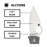 Spyderco Alcyone Gray Folding Knife with CTS BD1 PlainEdge Steel Blade