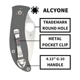 Spyderco Alcyone Gray Folding Knife with CTS BD1 PlainEdge Steel Blade