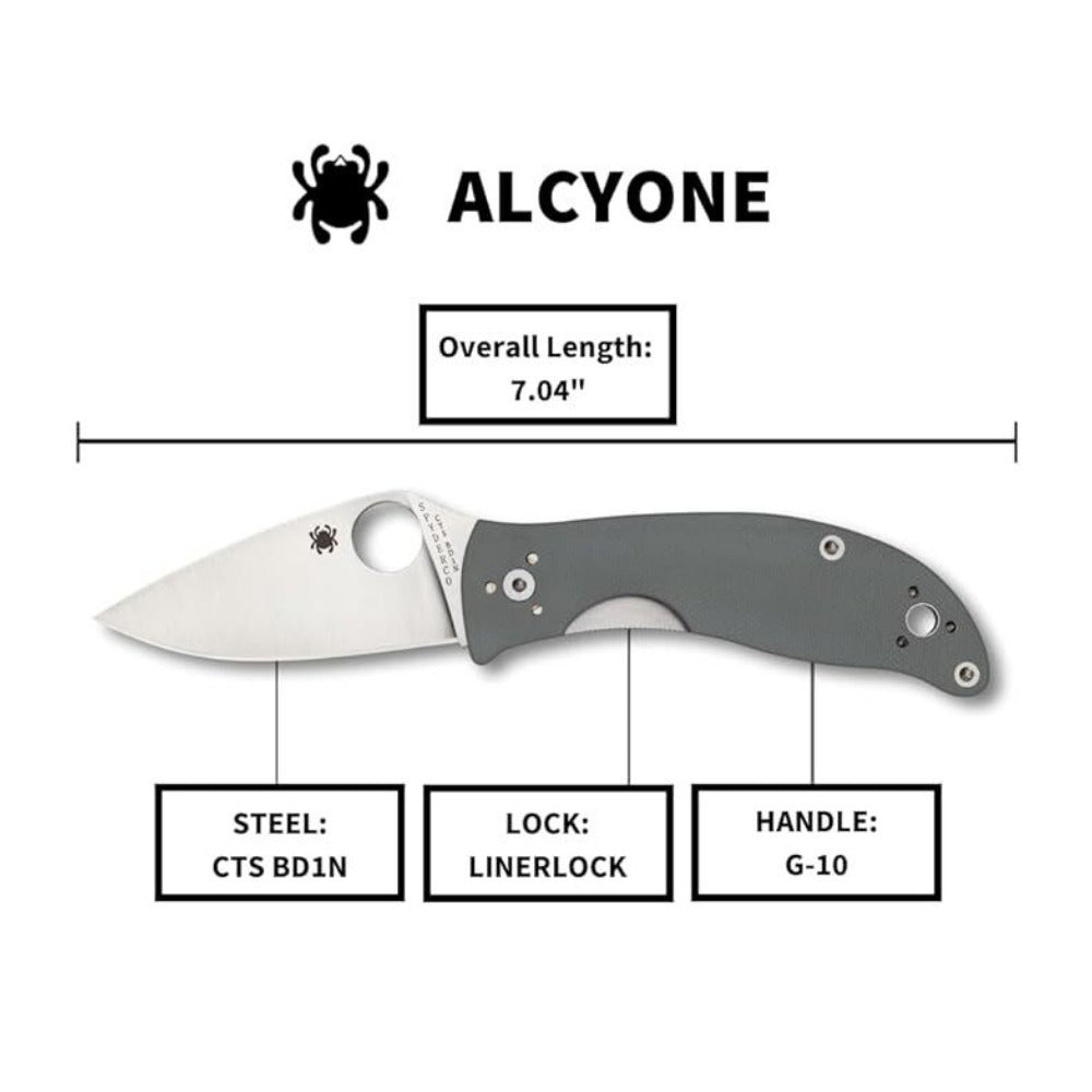 Spyderco Alcyone Gray Folding Knife with CTS BD1 PlainEdge Steel Blade