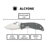 Spyderco Alcyone Gray Folding Knife with CTS BD1 PlainEdge Steel Blade