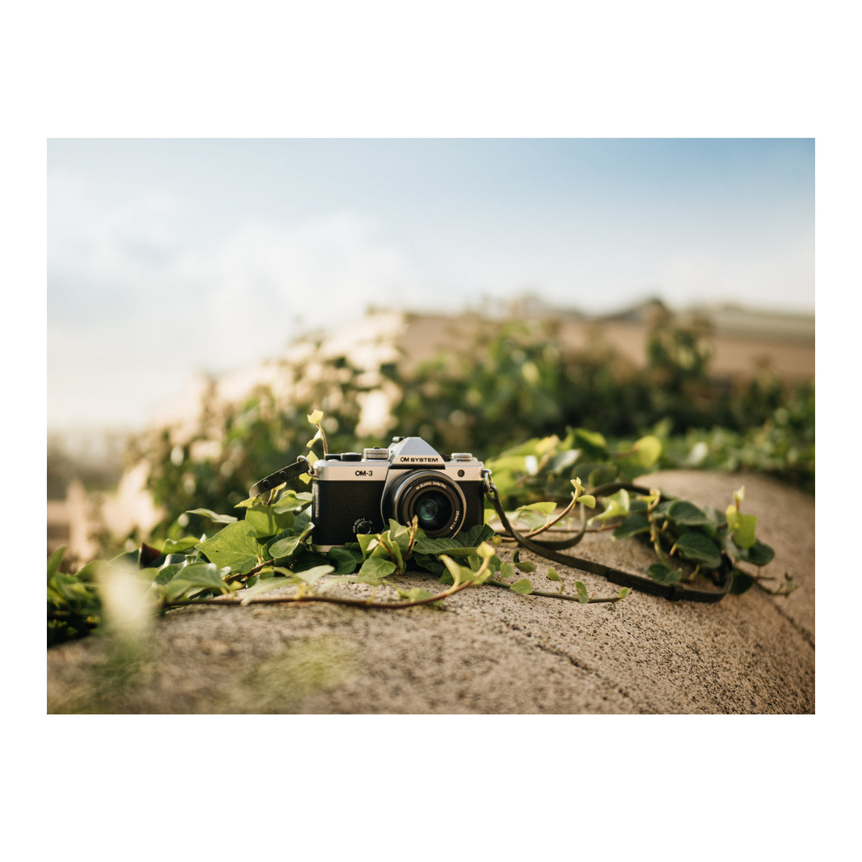 OM System Om-3 Mirrorless Micro Four Thirds Lens System Camera with BSI Live MOS Sensor