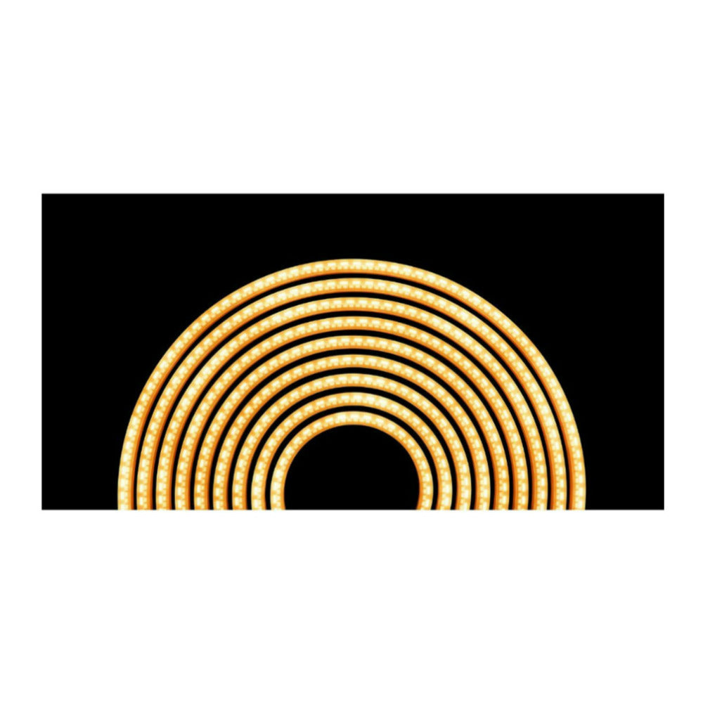 Atomos Sun Dragon Rope Light with 5-Color RGBAW Design and Flexible Build (White, Transparent)