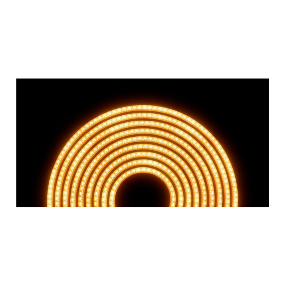 Atomos Sun Dragon Rope Light with 5-Color RGBAW Design and Flexible Build (White, Transparent)