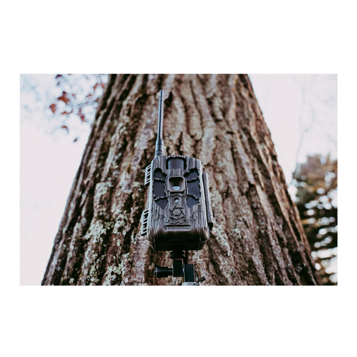 Stealth Cam DECEPTOR MAX 2.0 40MP Photo Dual-Core Cellular Trail Camera with 1440P Video (Brown)