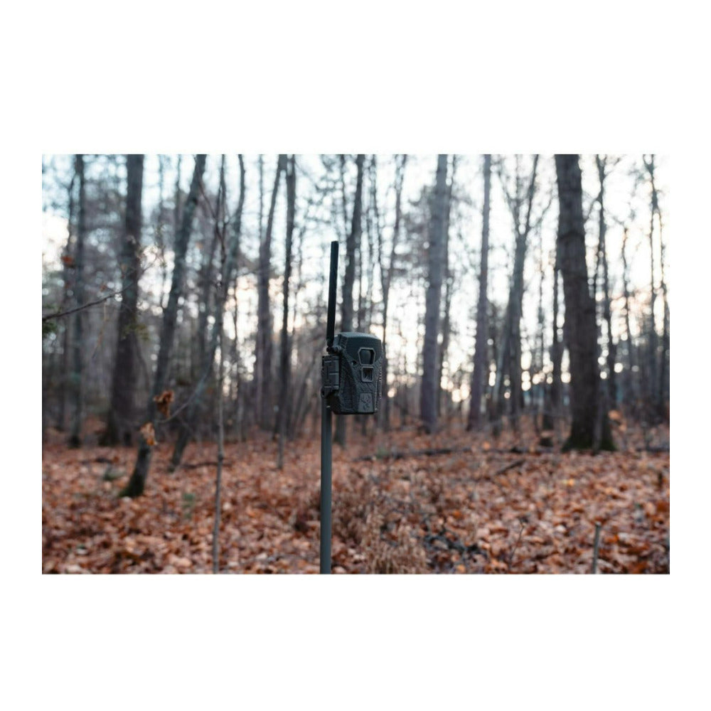 Wildgame Innovations Terra XT 2.0 24MP Gray Cellular Camera with 720p Video (Open Box)