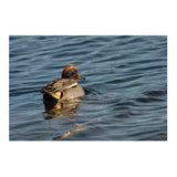 Sigma 300-600mm f/4 DG OS Sports Lens for Sony E-Mount