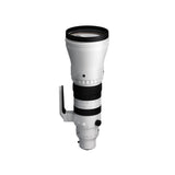 Sigma 300-600mm f/4 DG OS Sports Lens (L Mount)