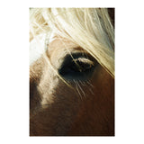 Sigma 16-300mm F3.5 - 6.7 DC OS Contemporary Lens (Sony E-Mount)