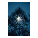 Sigma 16-300mm F3.5 - 6.7 DC OS Contemporary Lens (Sony E-Mount)