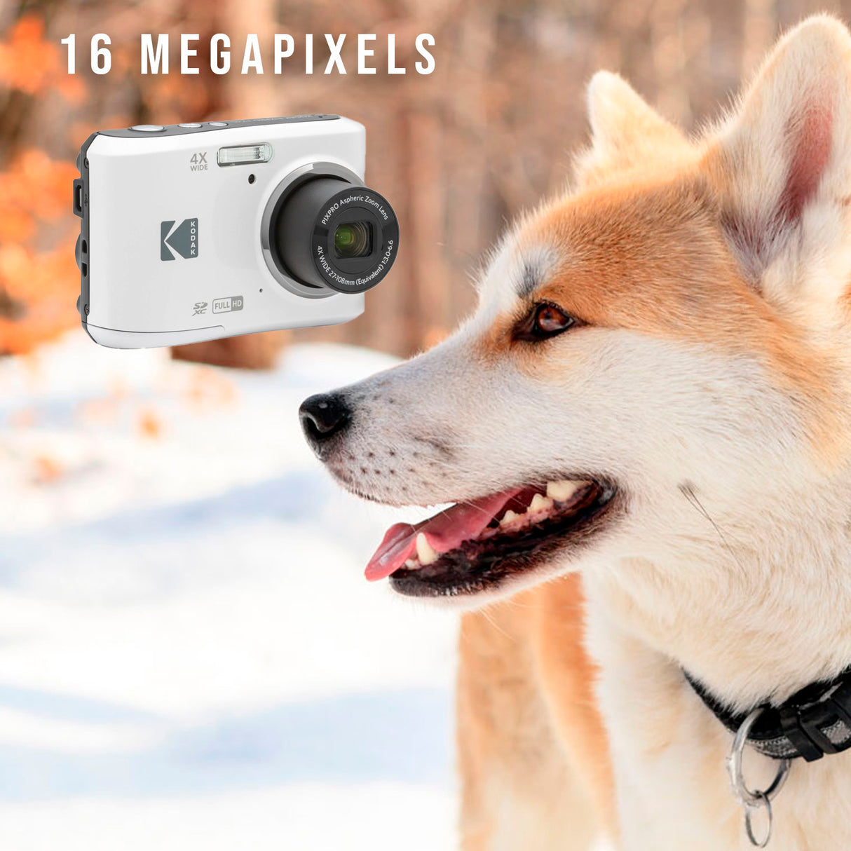 Kodak PIXPRO FZ45 Friendly Zoom Digital Camera (White) and Folding Storage Travel Case Bundle