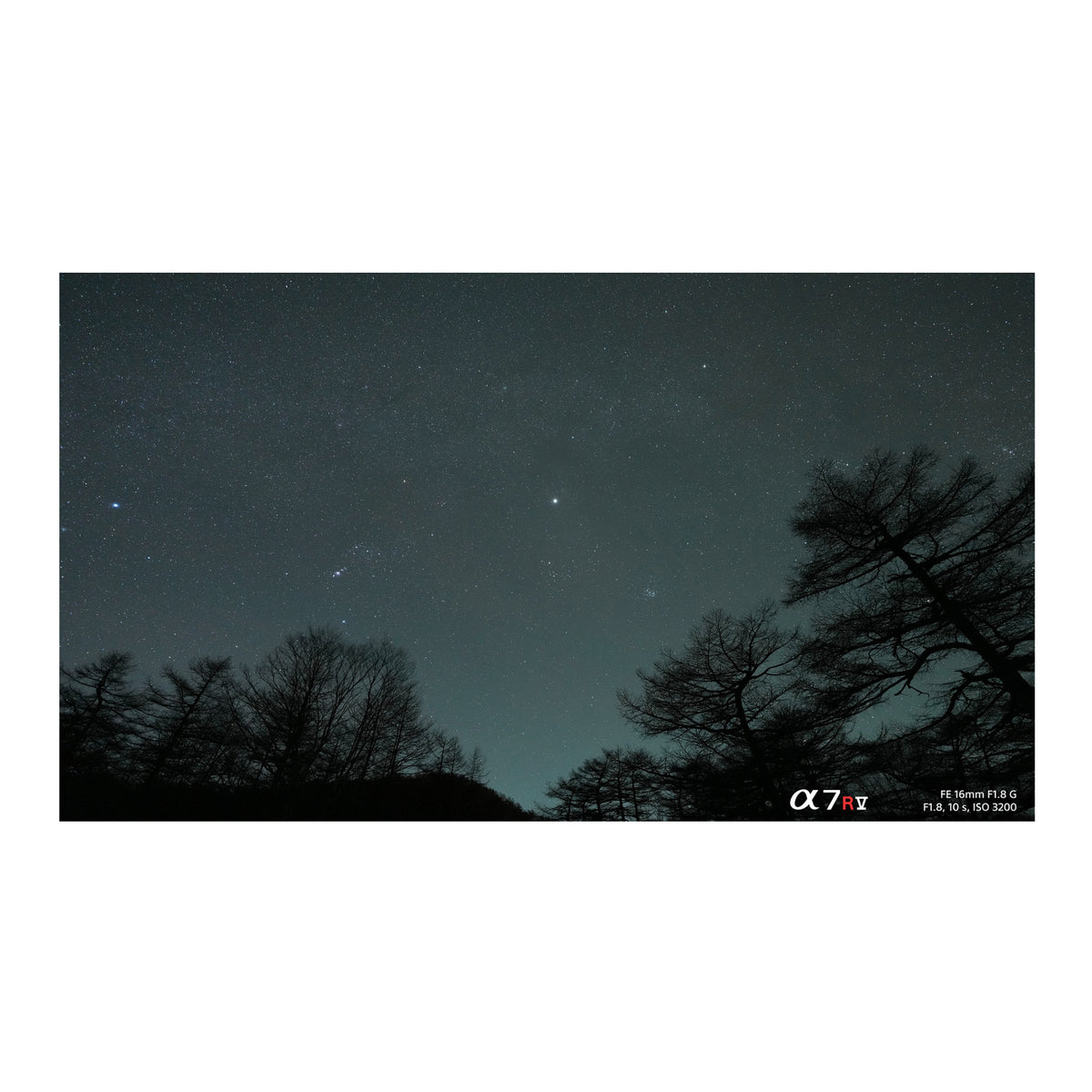 Sony FE 16mm f/1.8 G Lens