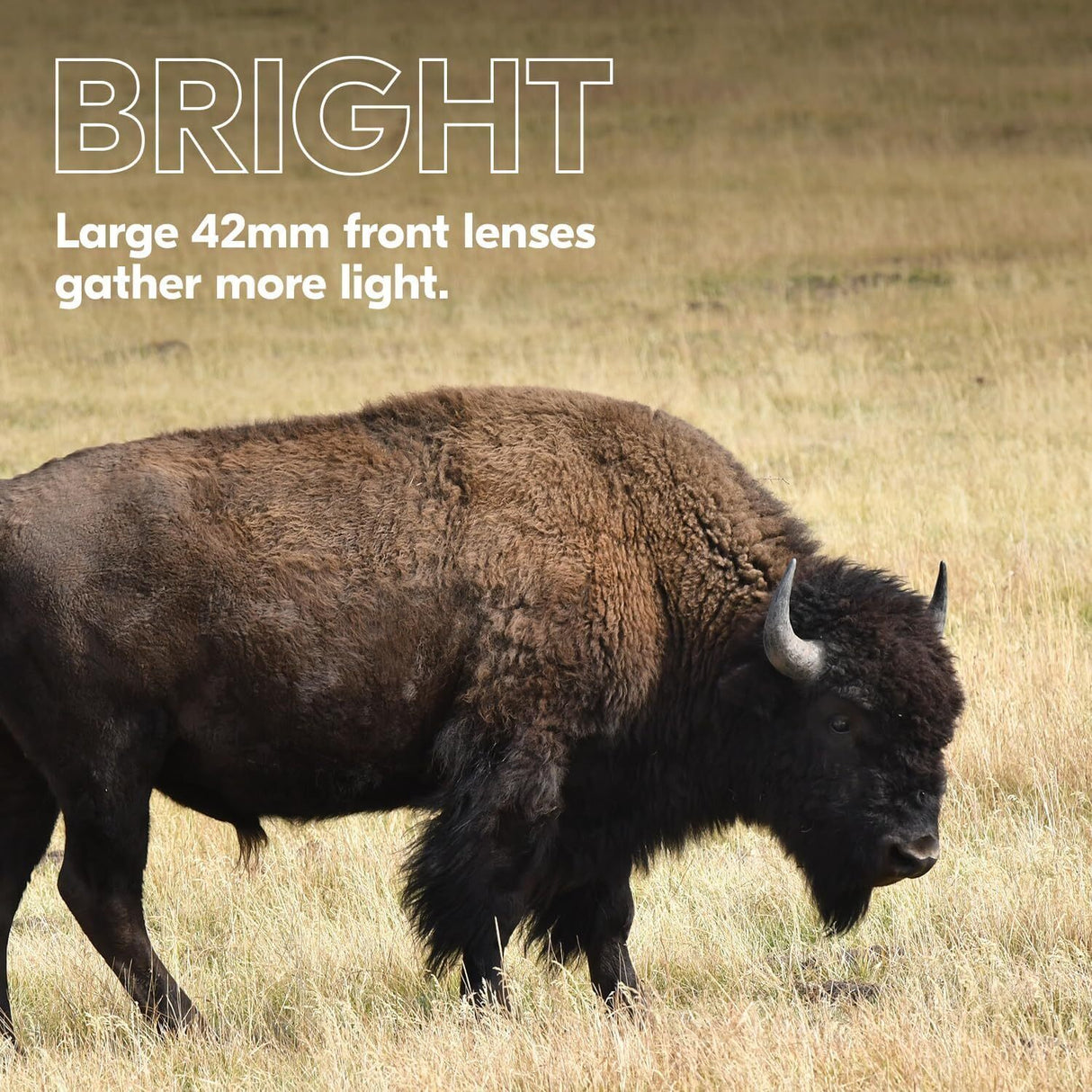 Nikon Prostaff P3 10X42 Binoculars and DSLR and Mirrorless Camera Shoulder Bag (Black) Bundle