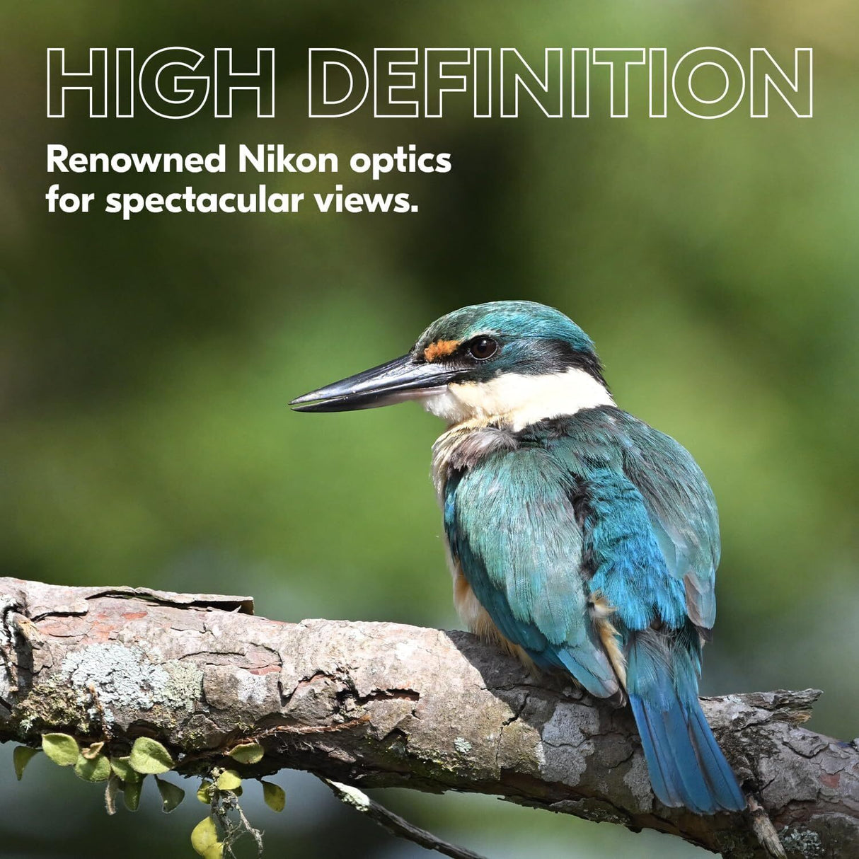 Nikon Prostaff P3 8X42 Binoculars and DSLR and Mirrorless Camera Shoulder Bag (Black) Bundle